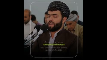 تلاوة خاشعة من سورة الأنفال | بيشەوا قادر الكردي