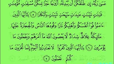 القران الكريم سورة التحريم 066 بصوت الشيخ/فارس عباد