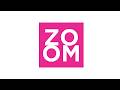 Zoom | Disclosure | Roberto Pinotti | 28/05/2026