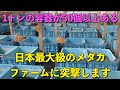 【メダカ】日本最大級のメダファームに突撃！いぶき！指宿メダカ編　Part1