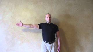 Shoulder 3.9 AROM-Abduction one arm