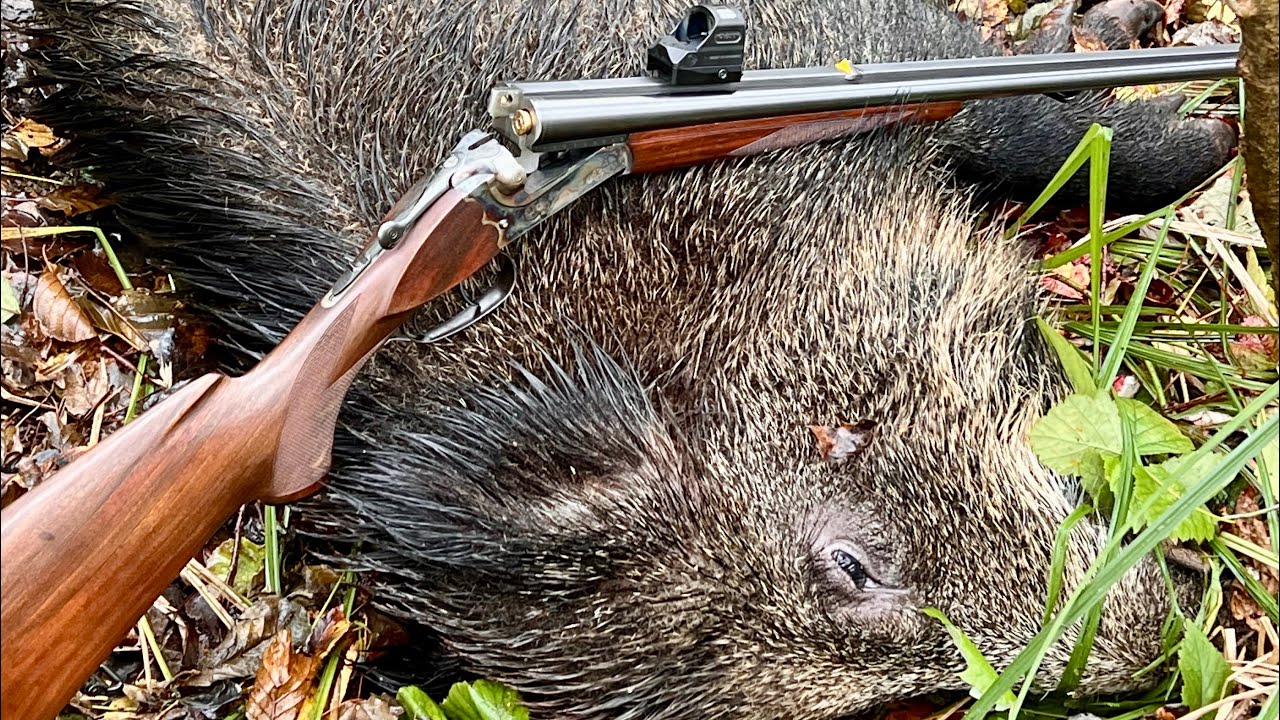 Express Merkel 141 E calibre 9.3X74R 