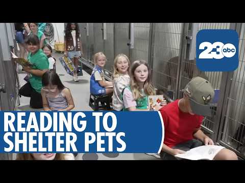 Kern County kids brighten shelter animals' days with reading program