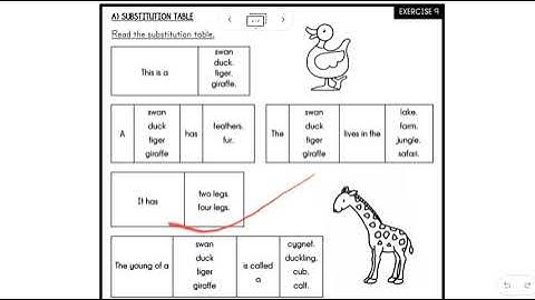 exercise 9 substitution table english year 2 Miss Ash.