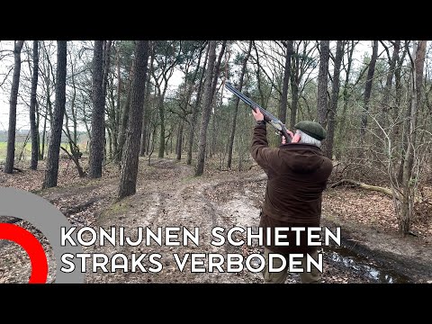 konijnen schieten straks verboden