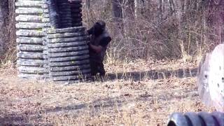 Wild World PaintBall Family Game 3