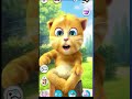 Talking ginger tom cat viral cartoontalkingtom shorts viralfeeds