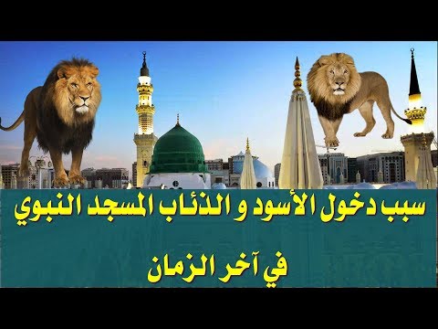 هل تعرفت على الزمان الذي يهجر فية الناس المسجد النبوي وتدخلة السباع