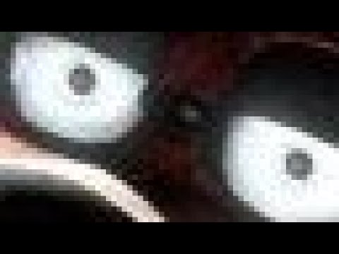 GERROLD (foxsuki) DONT USE THAT LANGUAGE - YouTube