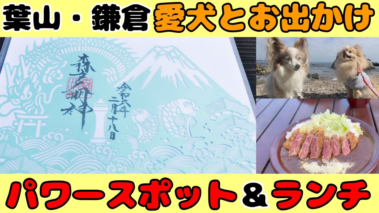 愛犬の健康祈願の旅🐶葉山森戸大明神＆美味しいランチ