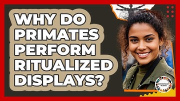 Why Do Primates Perform Ritualized Displays? - Anthropology Insights