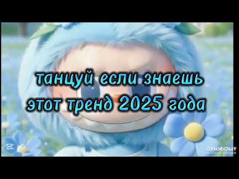 Танцуй если знаешь этот тренд 2025 года #kamistory #взаимнаяподписка #эстетическая #trend #выбирашки