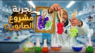 تجارب ممتعة : تجربة صابون العنب ..مشروع ممتاز