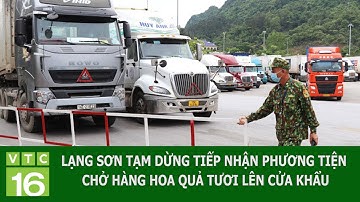 LẠNG SƠN TẠM DỪNG TIẾP NHẬN PHƯƠNG TIỆN CHỞ HÀNG HOA QUẢ TƯƠI LÊN CỬA KHẨU