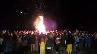 Holi Celebration