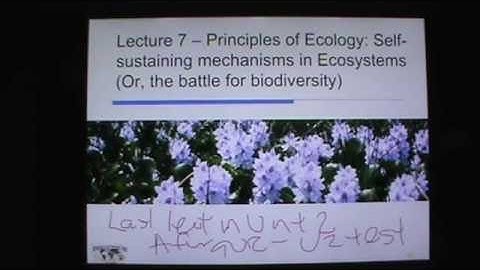 Lecture 7 - Principles of Ecology: Self - Sustaining mechanisms in Ecosystems