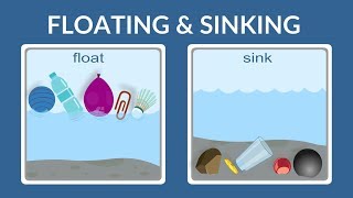 Float or Sink  Why do things float Why do things sink Lesson for kids