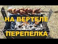 ПЕРЕПЕЛКА НА ВЕРТЕЛЕ МАНГАЛА Grillmax.pro ОХОТА НА КУБАНИ РЕЦЕПТЫ СЮФ