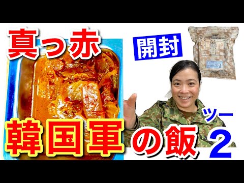 元自衛隊員が韓国軍の戦闘糧食を開けてみたら超ビックリした!! 【メニュー2】 Korea military Ration Food