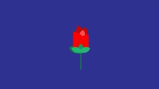 How to Draw Rose Flat Design Graphic Design Adobe Illustrator Tutorial