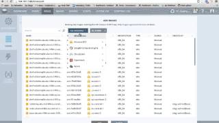 SCALR Tutorials - Roles