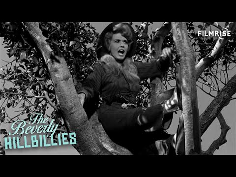 The Beverly Hillbillies - Season 1, Episode 12 - The Great Feud - Full Episode
