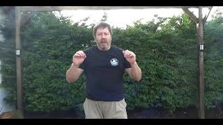 Systema Vlog Feb 21 - Relaxed Strikes Part One