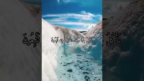 واتس اب قران كريم القارئ ياسر دوسري (سوره الفرقان)