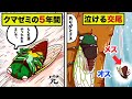 【ガチ泣き寸前】クマゼミの生涯５年間を漫画にしてみた。