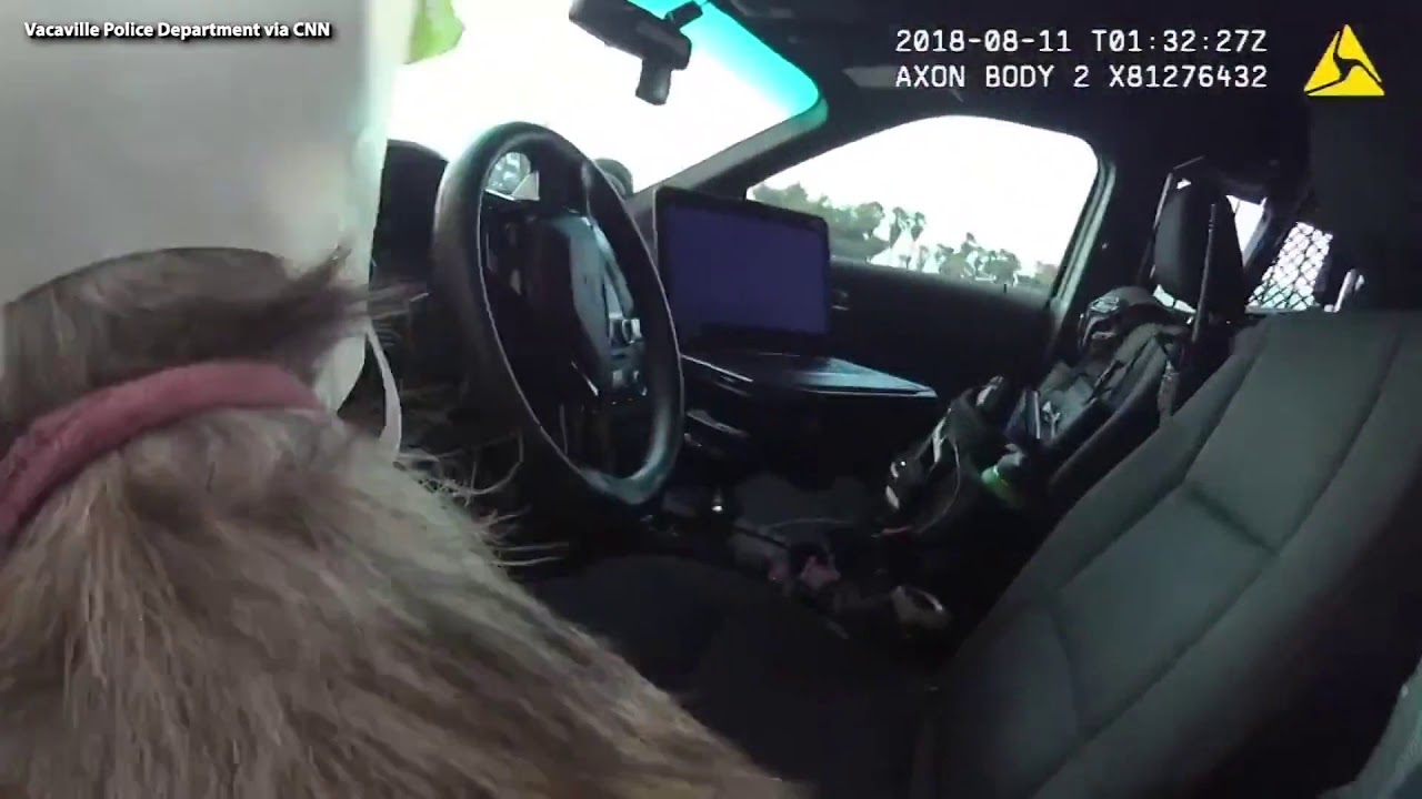 videos for cats WATCH: Officers Evacuate Dozens of Pets As California Wildfire Threatens Shelter