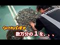 なければ探せ！！中古で購入した部品の一部がなかったので無数の中から探すは羽目に