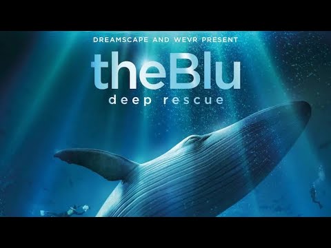 theBlu VR (2022). Подводный экспириенс с реалистичной графикой. Прохождение (Oculus Pro).