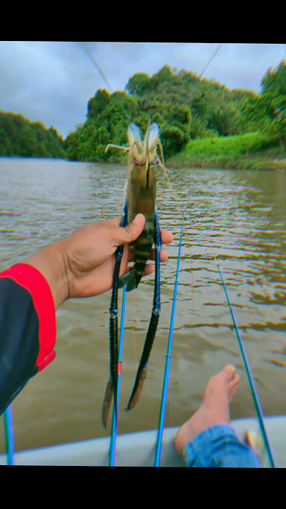 Trip Santai #jenggo #newbie #udanggalah #new #fyp #fypシ゚viral