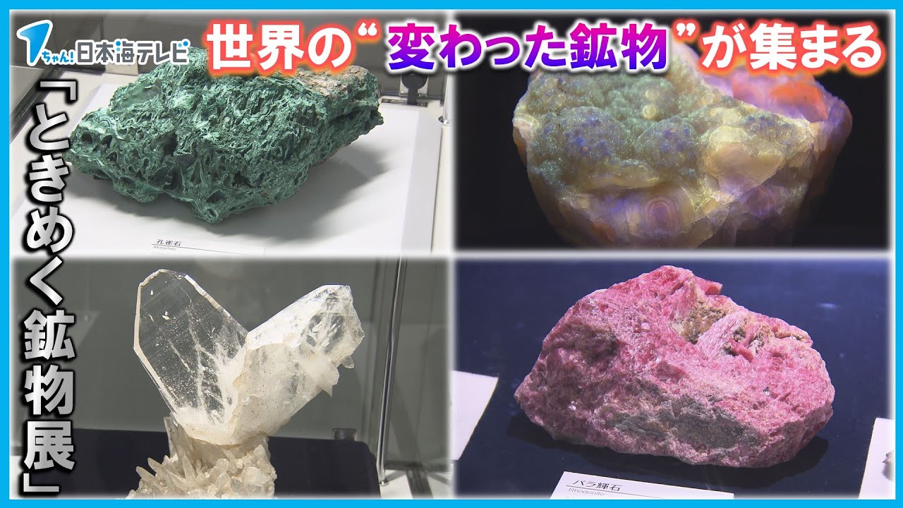 岩石と鉱物 : 手のひらに広がる岩石・鉱物の世界 岩石と鉱物 手のひらに広がる岩石・鉱物の世界 ネイチャーガイド
