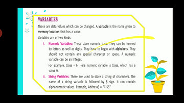 Elements of QBASIC| Variable|Constant |Learn with Ms Rain