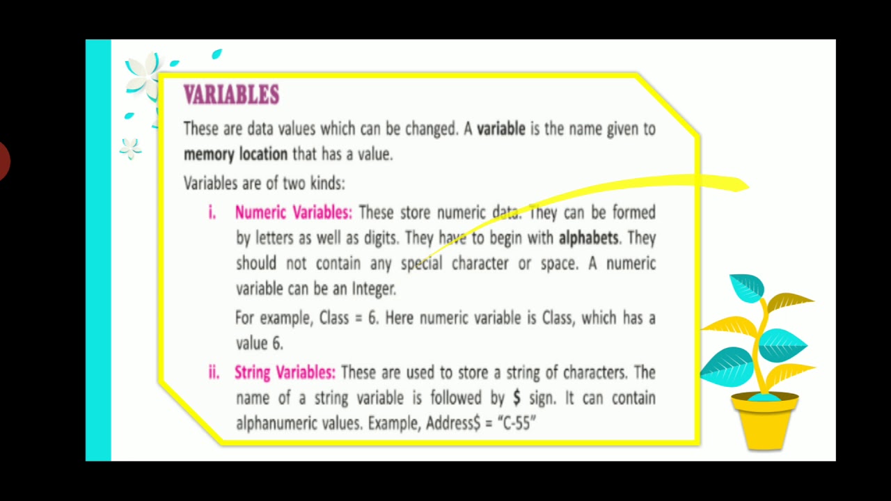 Elements of QBASIC| Variable|Constant |Learn with Ms Rain - YouTube