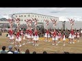 箕面自由学園高等学校チアーリーダー部「GOLDEN BEARS」