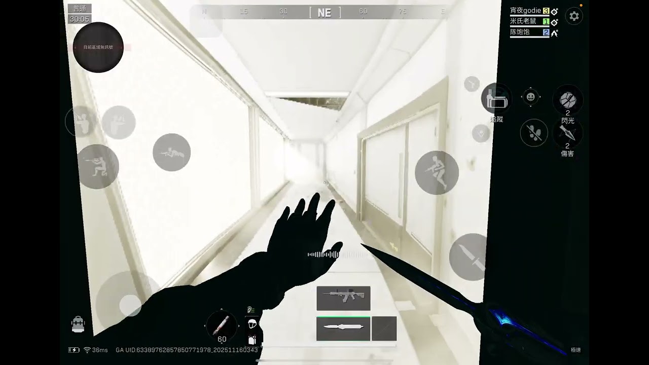 三角洲黃金鳥蛋