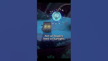 Dicewood: What a beautiful flower! 🐱🌸