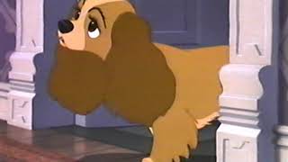 Lady and the Tramp (1955) - The Baby Arrives
