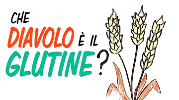 Cosa succede se una persona intollerante al glutine mangia glutine?