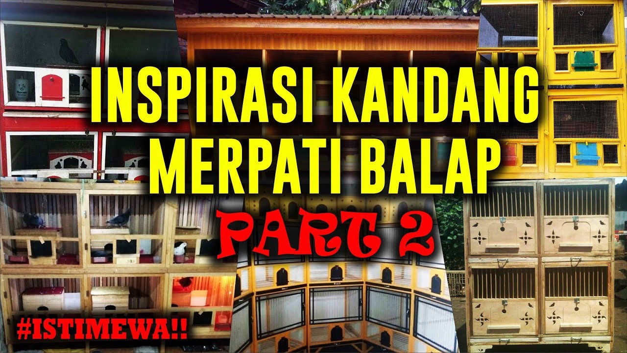 Part 2 Mantaabb Inspirasi Kandang Merpati Balap Youtube