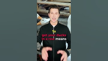English Idioms - Get Your Ducks In A Row #learnenglish #englishidioms #americanenglish