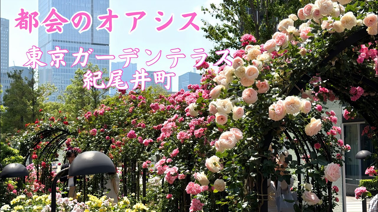 小谷 博貞「薔薇園の夢」 満開のバラ22選と洋館の共演/22 Roses in Full Bloom and a Western