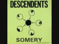 The descendents  clean sheets