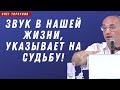 ЗВУК в нашей жизни указывает НА СУДЬБУ! О.Г.Торсунов