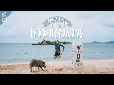 เกาะแสมสาร​ สัตหีบ​ แบบ​ 1 day trip | VLOG | Gowentgo