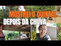 TARDE CHUVOSA VLOG MOSTREI A CHUVA AS PLANTAS + DICA COMO ELIMINAR FUNGOS DAS PLANTAS 