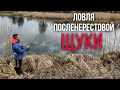 Рыбалка на щуку после нереста. Ловля окуня и щуки на джиг. Поиск темы к пассивной рыбе. Azura Ferra