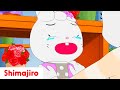 Mimi Lynne S Gift Full Episode 314 Shimajiro